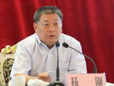 Former No 2 party official in Xinjiang investigated for corruption