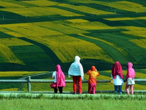 Delightful rural landscape of Qilian County, Qinghai Province