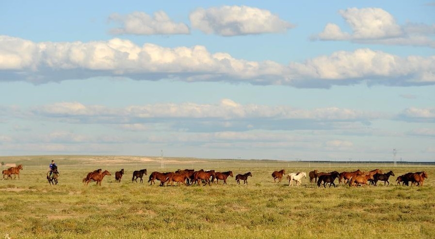 Grassland scenery in Inner Mongolia, N China