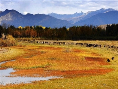 Photos: Autumn scenery in Nyingchi, Tibet