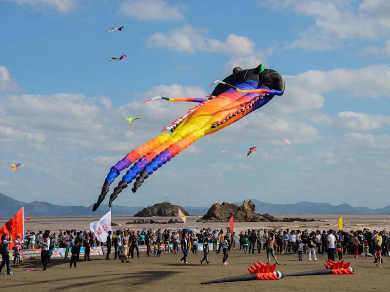 Kite festival held in E China