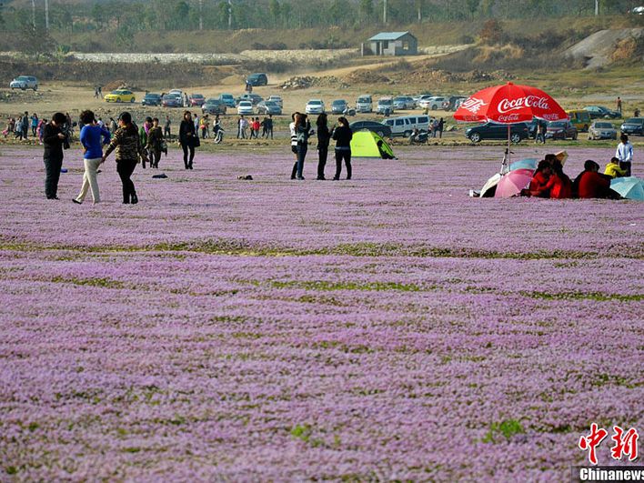 Poyang Lake: Beauty in the Face of Disaster