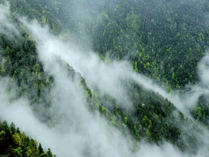 Get lost in the seas of clouds in Jinggang Mountains