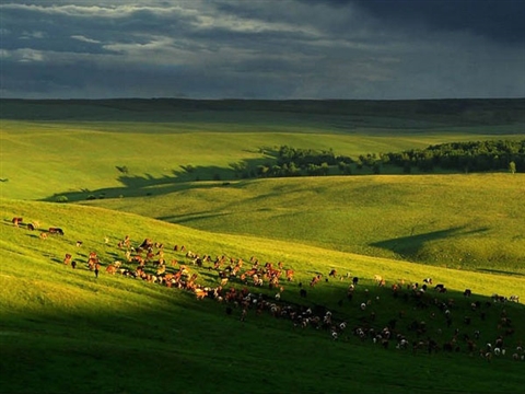 Wulan Butong Grassland in Inner Mongolian