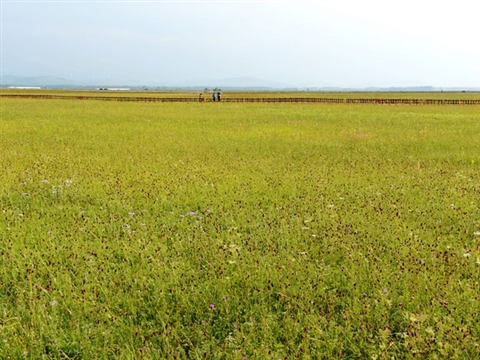 Grassland in Hebei, N China