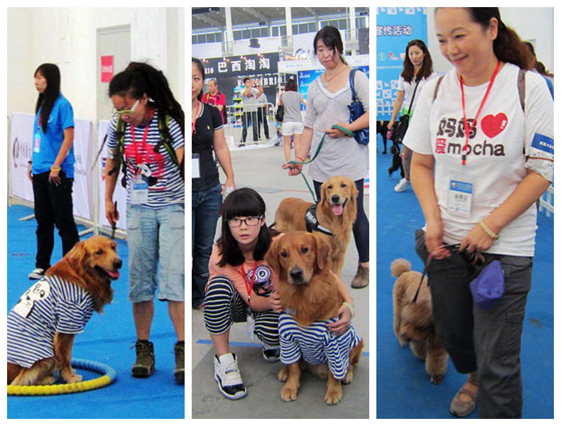 Amazing Dog Expo amazes with charity spirit