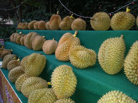 Thai Embassy presents durian delights at banquet in Beijing