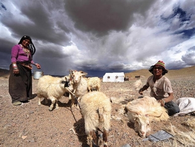 China completes controversial nomad relocation in Tibet