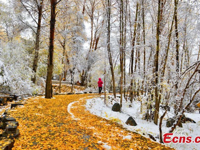 Gansu county dressed up as wonderland after snowfall