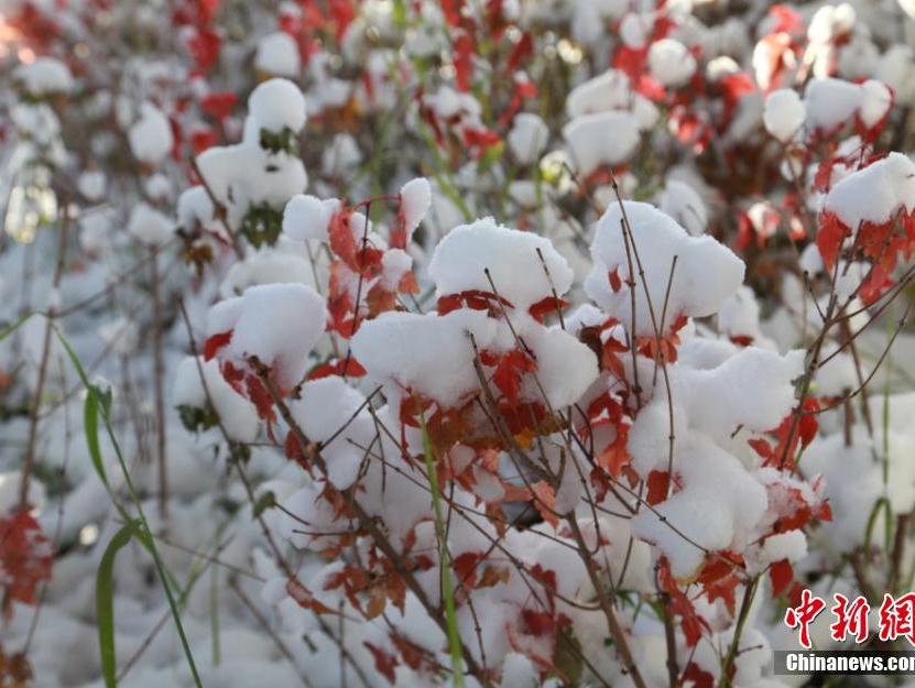 Beautiful snow scenery in east Xinjiang