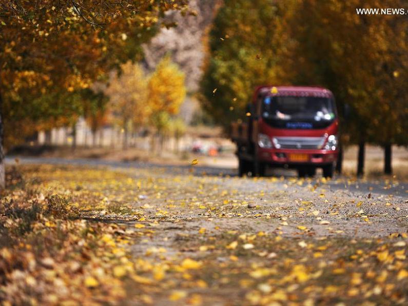 Autumn scenery in SW China's Tibet Autonomous Region