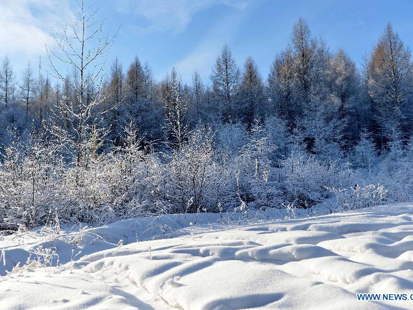 Winter scenery of Moridaga Forest Park