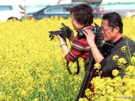Scenery of rape flowers in SW China's Guizhou