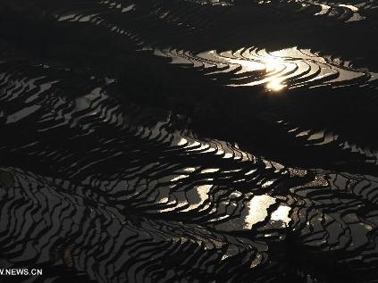 Scenery of terraced fields in SW China's Yunnan