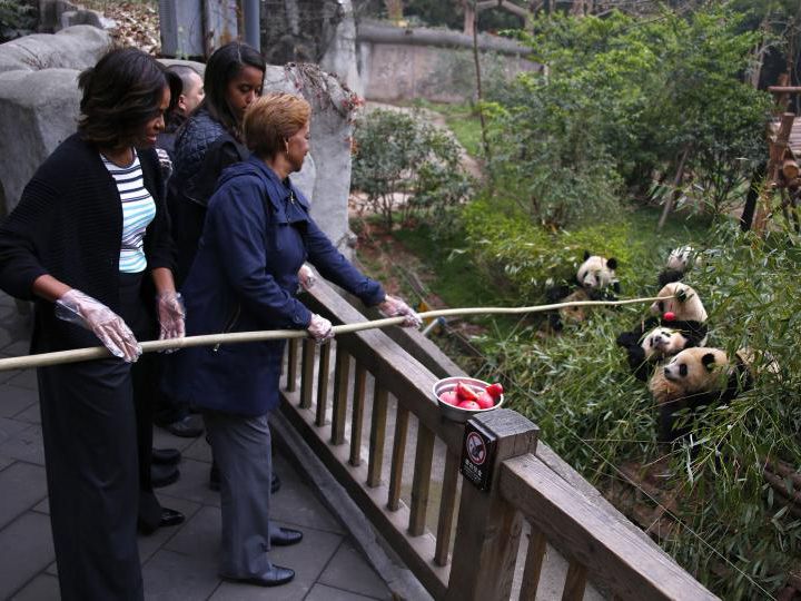 熊猫外交