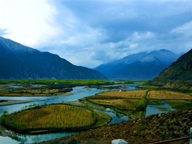 Four seasons at one time in Nyingchi, Tibet