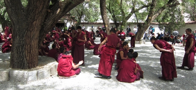 Life of a lama at Sera Monastery