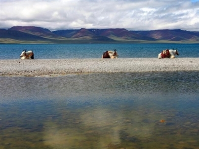 Namtso, the highest lake in the world
