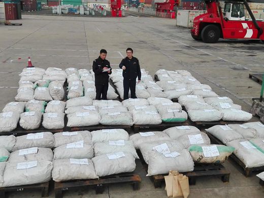Customs finds 3 tons of pangolin scales