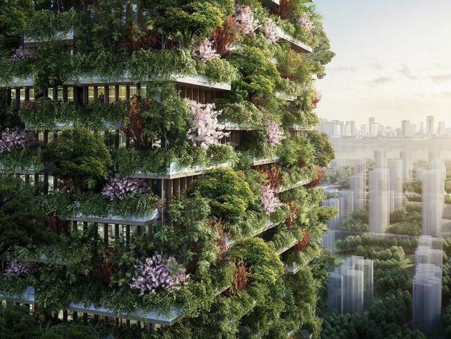 China is building a vertical forest to fight pollution